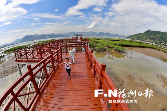 市民置身于福州最大的红树林近距离感受大海的美。
