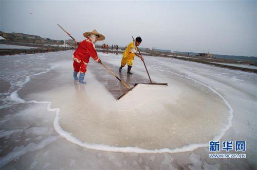 - 8月6日,山腰盐场的盐工在用传统的盐耙扒收海盐。