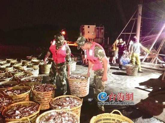 ◆边防官兵连夜帮忙抢收海鲜