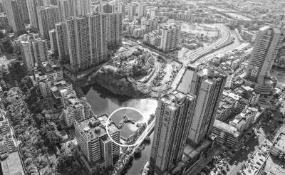 鸭棚里有十几只白色鸭子。城市中的鸭棚,位于柳城罗马家园小区后方的池塘中。