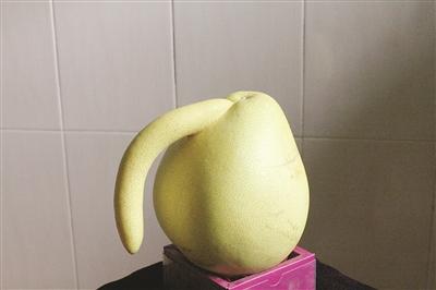 - 黄水成黄茂林摄影报