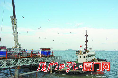福厦高铁泉州湾跨海大桥施工现场,海鸥相伴。