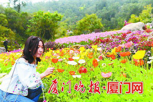 本报拍客咫尺幸福 摄