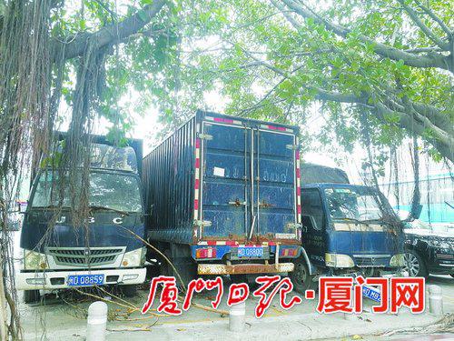 文化艺术中心西广场停着三辆“僵尸车”。