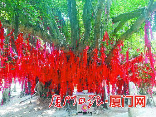 旅游路线中的“许愿树”景点。