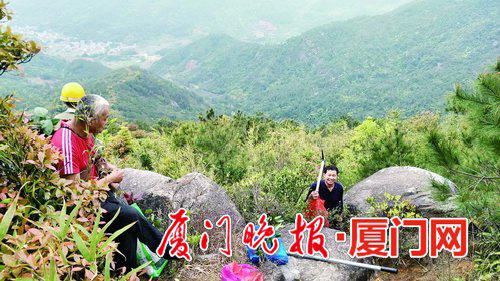 ■5位老人结伴上山采药。 (图片由受访者提供)