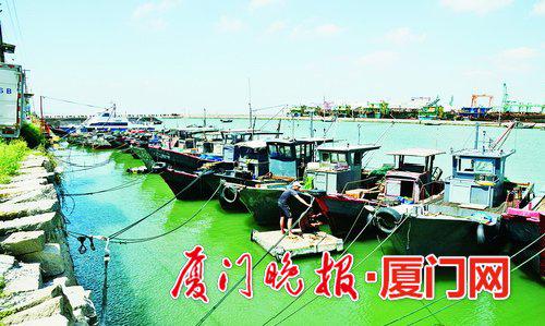■今天上午,渔船进港避风。 刘东华摄于翔安欧厝
