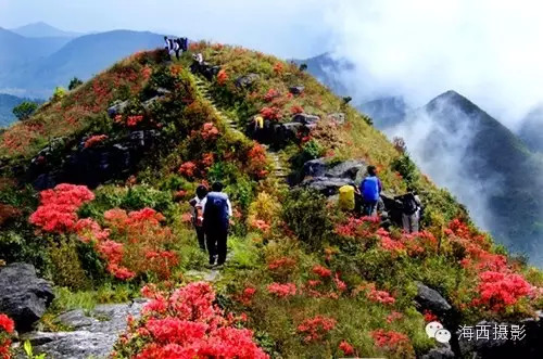 普禅山风光